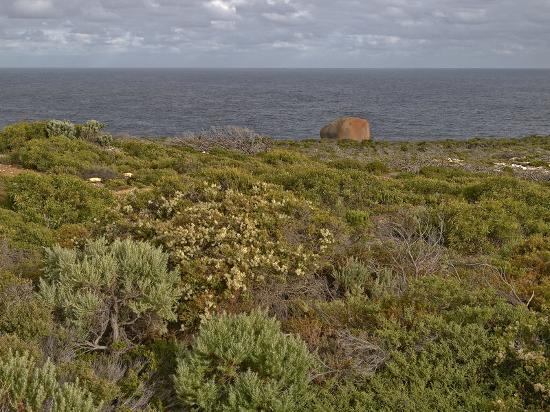 Kangaroo Island